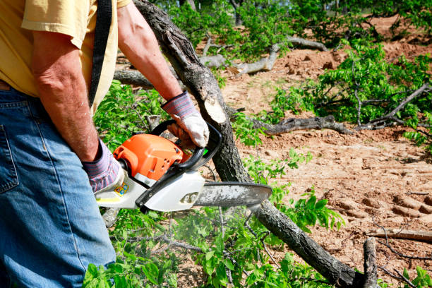 Tree Removal for Businesses in Uniontown, AL